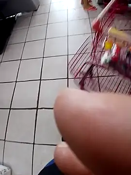 cicinha3657 online show from February 20, 2026, 6:30 pm