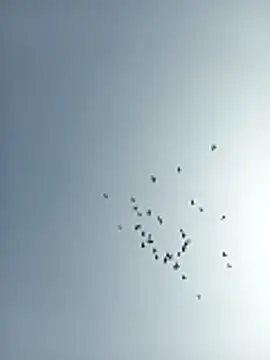 amitkumarkangra online show from December 19, 2025, 6:53 am