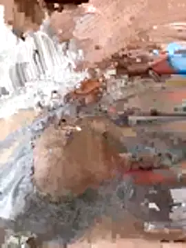 tw swag online show from January 6, 2026, 7:45 am