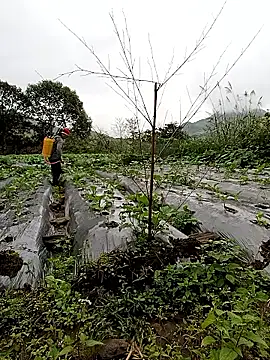 Exembin online show from October 24, 2025, 1:57 am