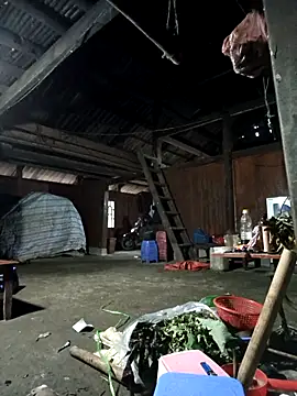 Snapshot of Exembin chatting on November 8, 2025, 9:42 am Exembin online show from November 8, 2025, 9:42 am