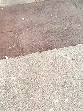 sonotutto online show from November 2, 2025, 10:50 am