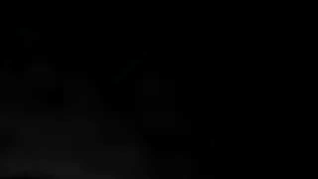 WILD FIREE  online show from December 2, 2025, 8:15 pm