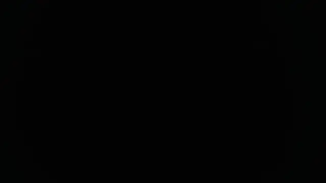 Alex mojica online show from November 20, 2025, 6:02 am