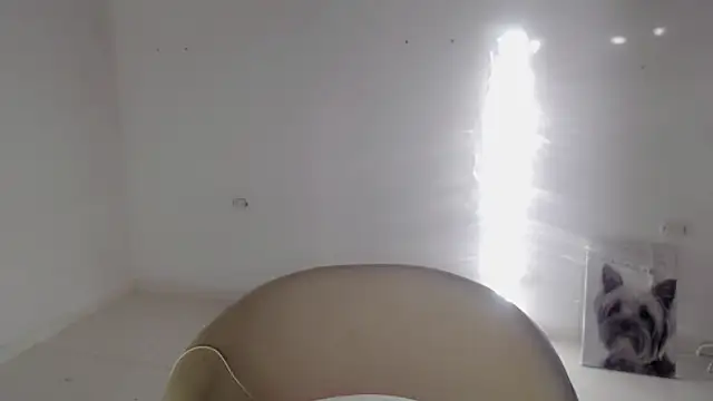 Stein  online show from September 19, 2025, 11:55 am