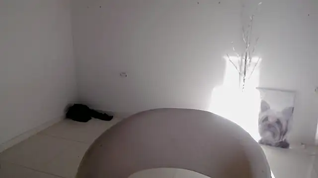 Stein  online show from September 24, 2025, 12:52 pm