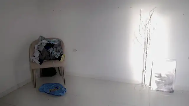 Stein  online show from September 25, 2025, 11:58 am