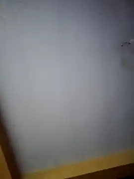 Miksa31 online show from October 29, 2025, 10:39 am