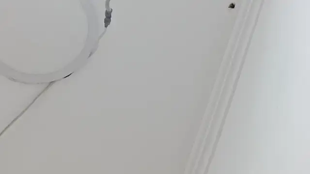 Atley Dolly online show from September 21, 2025, 9:38 pm