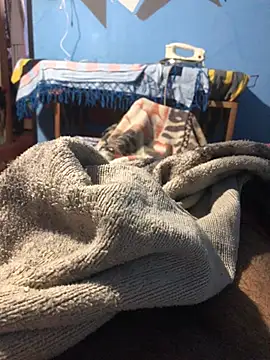 m11a2f3a4z5 online show from March 22, 2026, 12:52 pm