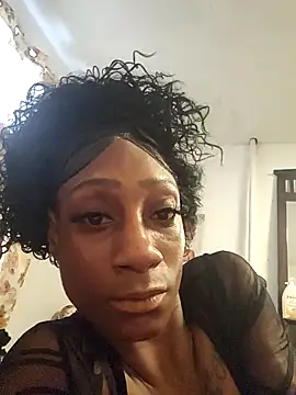 DontWonder23  online show from December 17, 2025, 1:06 pm