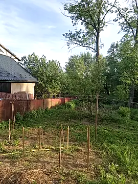 Snapshot of Alekseycv11 chatting on May 25, 2026, 4:35 pm Alekseycv11 online show from May 25, 2026, 4:35 pm