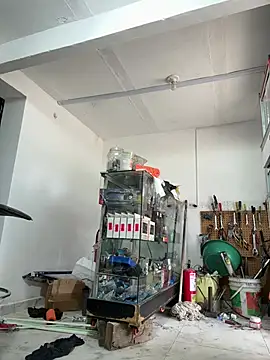 Terra-22cm online show from February 14, 2026, 2:36 pm