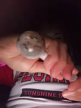 Tuperritahot online show from March 31, 2026, 4:02 am