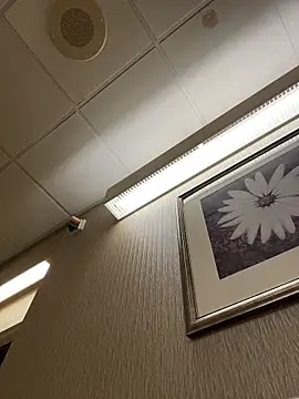 Tu GataLinda online show from November 1, 2025, 12:56 am