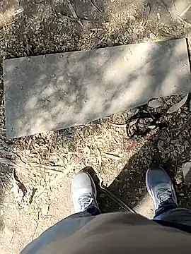 indian pavi online show from January 19, 2026, 5:55 am