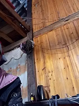 Snapshot of TinTin321 chatting on November 26, 2025, 5:41 am TinTin321 online show from November 26, 2025, 5:41 am