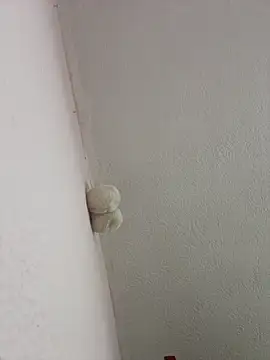 Snapshot of saranghae_ chatting on March 2, 2026, 3:09 am saranghae online show from March 2, 2026, 3:09 am