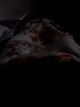 ratoncito 3 online show from January 12, 2026, 12:38 am