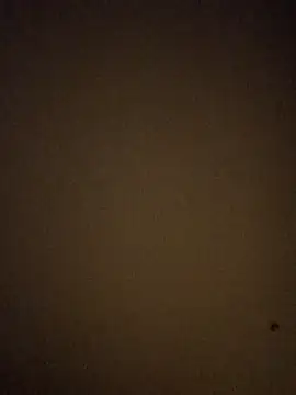 BigD1ckDan86 online show from January 7, 2026, 6:38 am