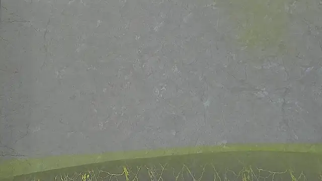 Snapshot of Draven_Marceaux chatting on July 3, 2026, 11:27 am Draven Marceaux online show from July 3, 2026, 11:27 am