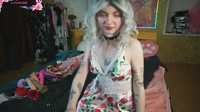 Dia Angel online show from May 11, 2026, 6:49 pm