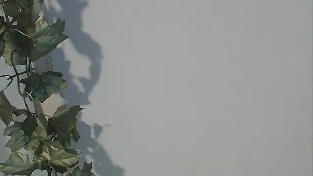 angelainparis28 online show from October 5, 2025, 8:12 am