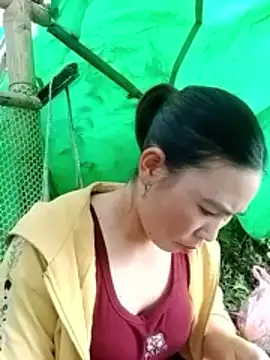 Snapshot of cicnci chatting on November 5, 2025, 1:38 am cicnci online show from November 5, 2025, 1:38 am