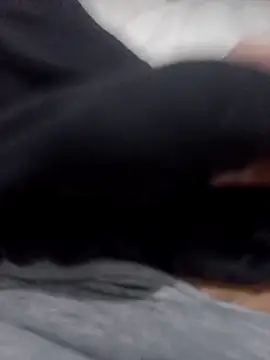 Abodi12aa77 online show from November 23, 2025, 12:32 am