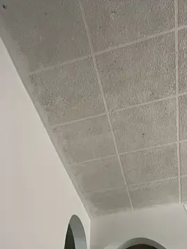 Snapshot of LICEET chatting on September 25, 2025, 3:27 pm LICEET online show from September 25, 2025, 3:27 pm