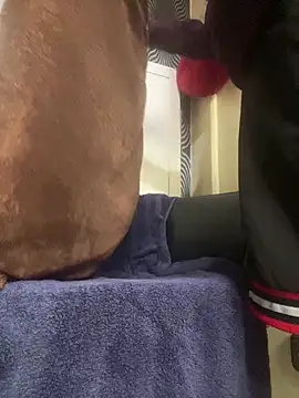 Yasar-Xxxl online show from March 12, 2026, 3:29 pm