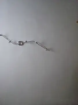 Hamutip online show from October 31, 2025, 12:50 pm