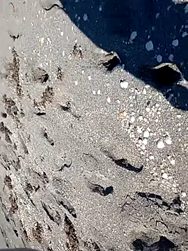 sarahkat86 online show from November 14, 2025, 6:28 pm