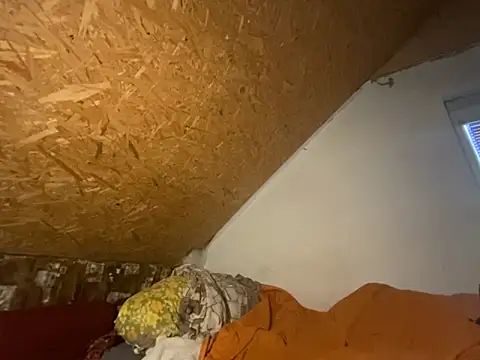 Salon1986 online show from October 8, 2025, 3:42 pm