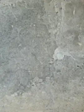 Snapshot of ngocngoc_cute chatting on February 24, 2026, 2:20 am ngocngoc cute online show from February 24, 2026, 2:20 am