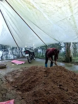 Snapshot of ngocngoc_cute chatting on March 7, 2026, 2:41 am ngocngoc cute online show from March 7, 2026, 2:41 am