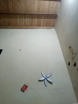 Akasha001 online show from September 25, 2025, 7:01 am