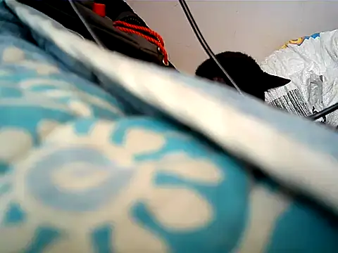 matrix70016 online show from October 12, 2025, 3:22 pm