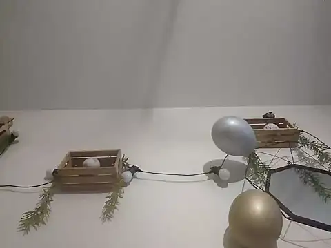 nousmeme0123 online show from February 20, 2026, 2:52 am