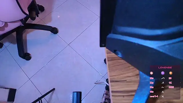 Snapshot of Terraelowen chatting on October 28, 2025, 11:25 am Terraelowen online show from October 28, 2025, 11:25 am