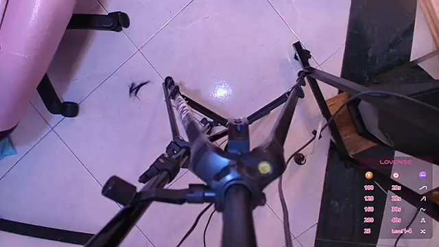 Snapshot of Terraelowen chatting on November 1, 2025, 11:45 am Terraelowen online show from November 1, 2025, 11:45 am