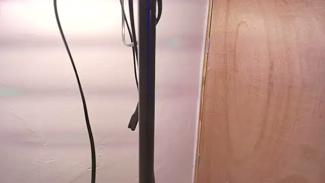 Terraelowen online show from February 22, 2026, 11:31 am