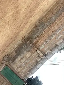 Jaydemasked online show from November 28, 2025, 11:35 am