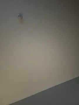 busty p online show from September 11, 2025, 9:04 pm