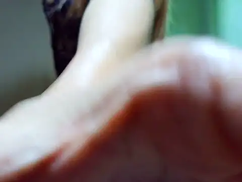 Snapshot of ashley_kimxx chatting on February 22, 2026, 11:42 am ashley kimxx online show from February 22, 2026, 11:42 am