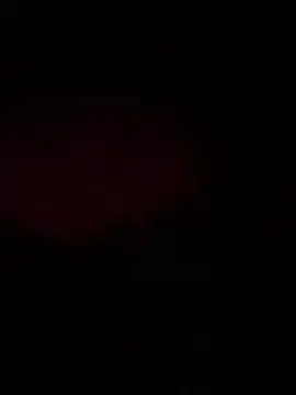 playboy100N online show from November 29, 2025, 6:44 pm