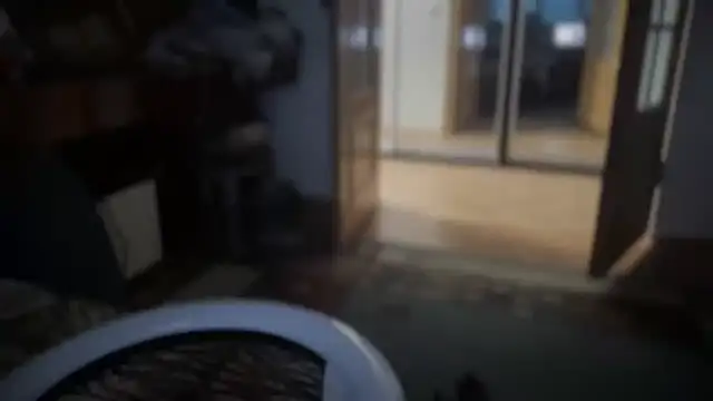 Rosea Champagne online show from October 18, 2025, 2:29 pm