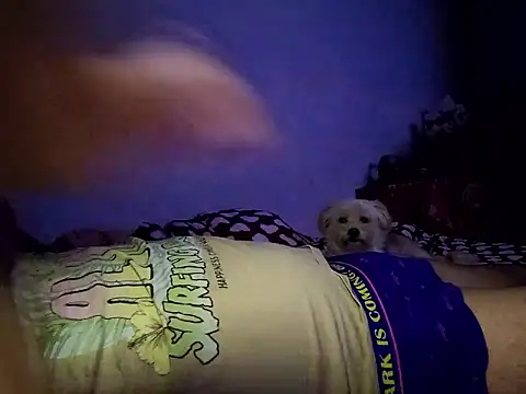 Alexandra23d online show from October 2, 2025, 9:22 pm