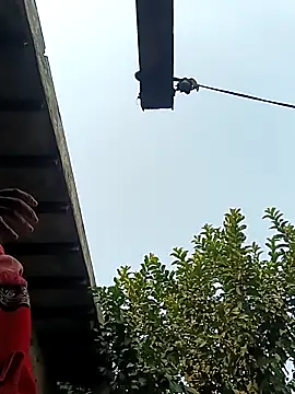 heena3355 online show from December 2, 2025, 3:56 am