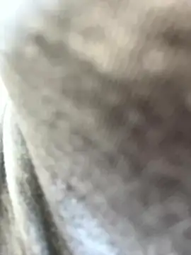 Emily Rivers  online show from January 16, 2026, 1:26 pm